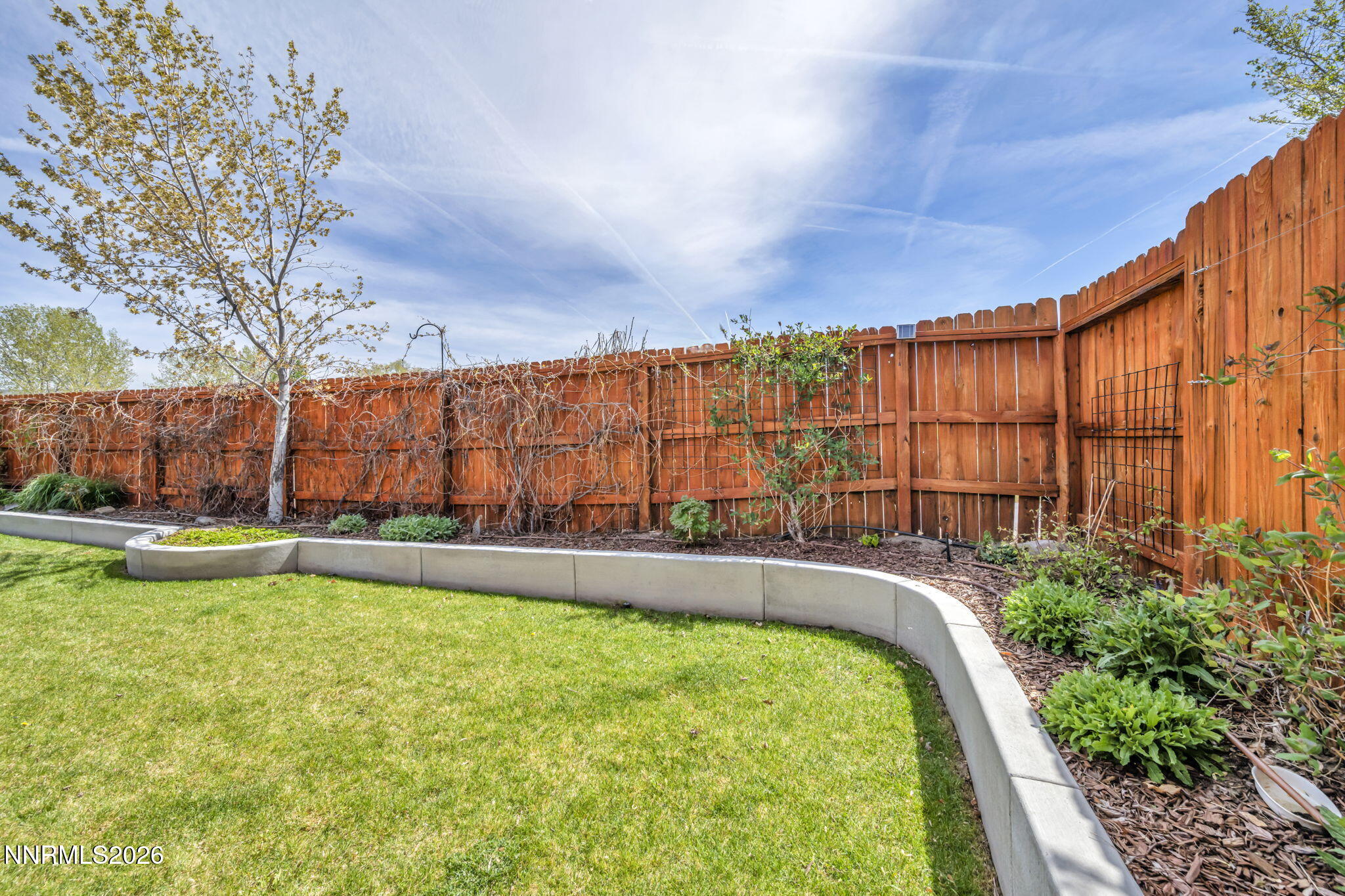 20982 White Rock Drive Reno, NV 89508 - Photo 26 of 84 26-web-or-mls-20982-white-rock-dr
