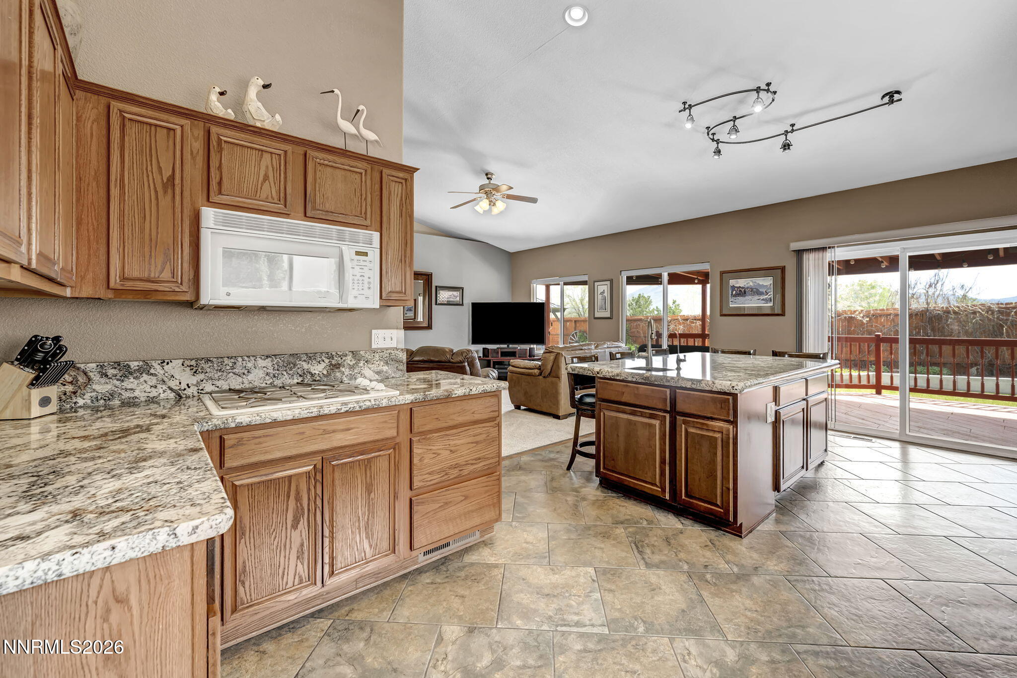 20982 White Rock Drive Reno, NV 89508 - Photo 40 of 84 40-web-or-mls-20982-white-rock-dr