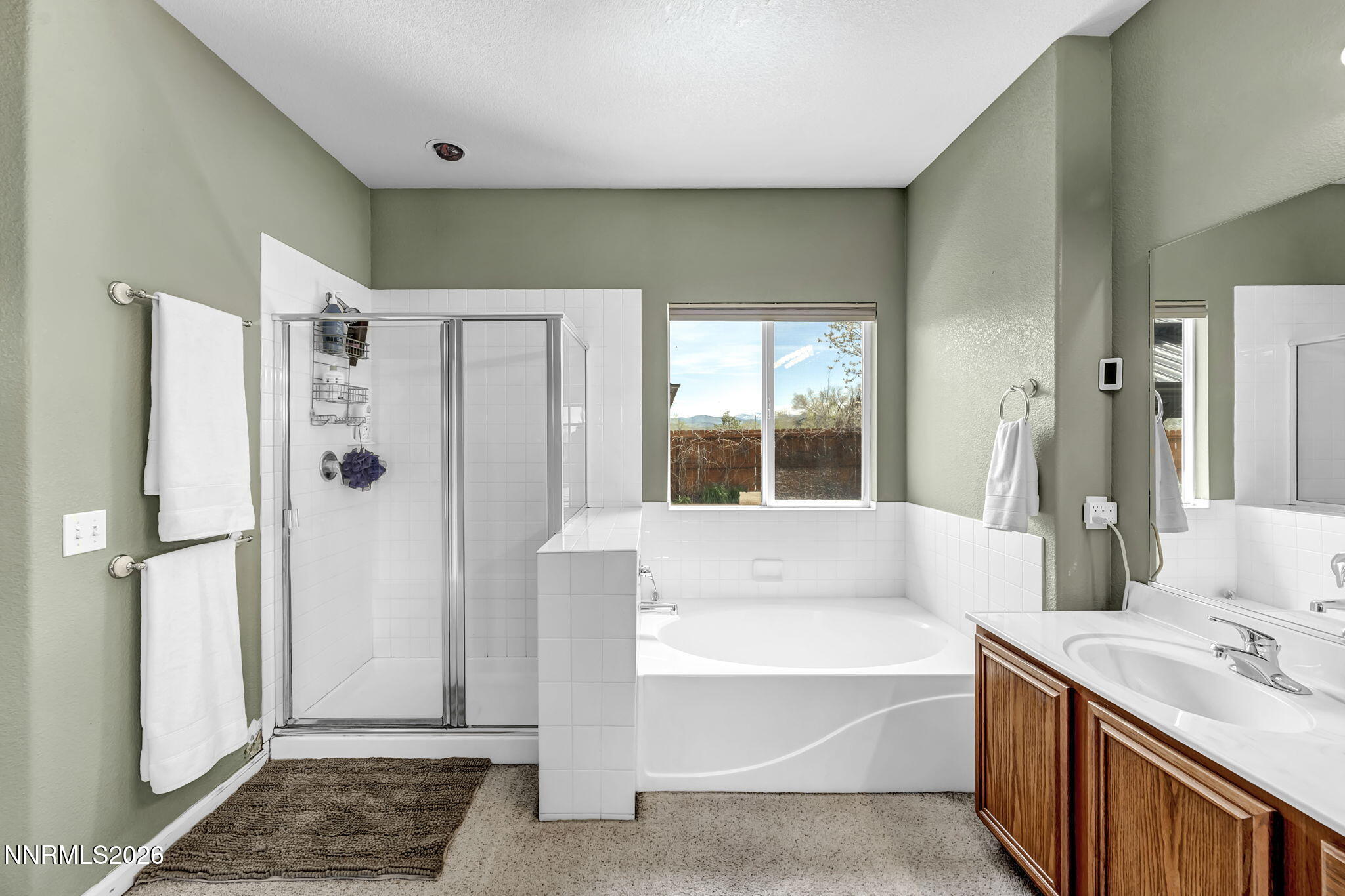 20982 White Rock Drive Reno, NV 89508 - Photo 74 of 84 74-web-or-mls-20982-white-rock-dr