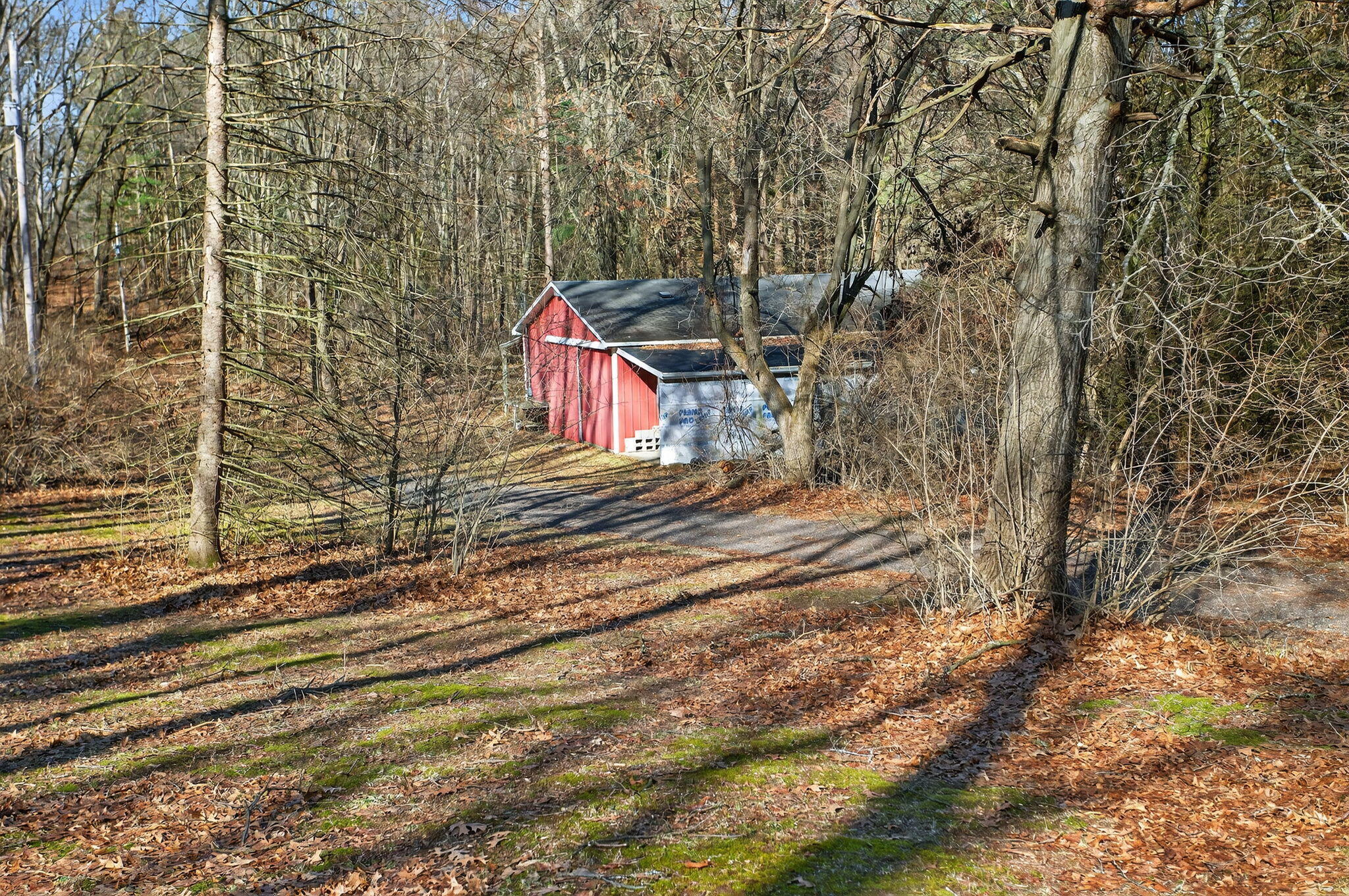 520 South Jackson Street Hanover, MI 49241 - Photo 46 of 59 46-web-or-mls-0N0A1560