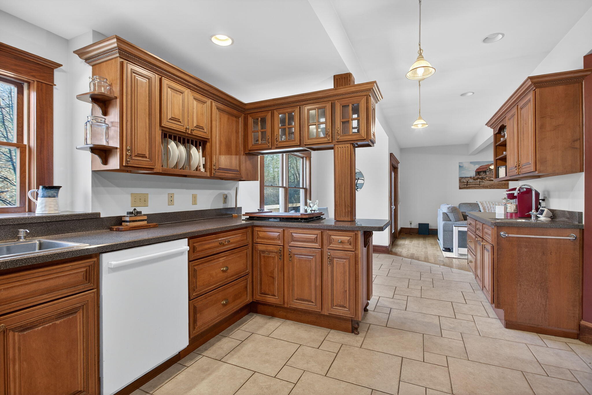 520 South Jackson Street Hanover, MI 49241 - Photo 9 of 59 9-web-or-mls-0N0A1328