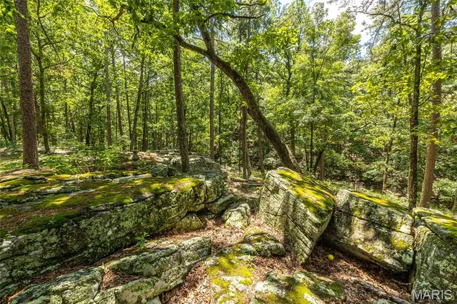 $349,000 | 11545 Slaughter Road, Licking, MO 65542