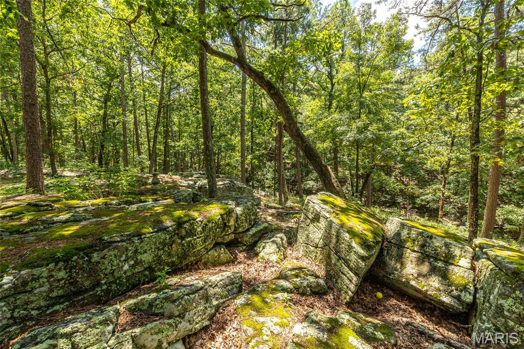 11545 Slaughter Road Licking, MO 65542 - Photo 13 of 53