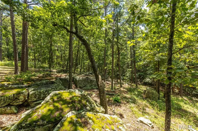 $349,000 | 11545 Slaughter Road, Licking, MO 65542