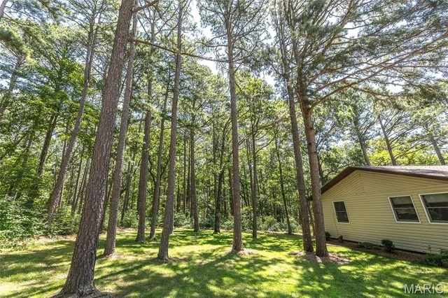 $349,000 | 11545 Slaughter Road, Licking, MO 65542