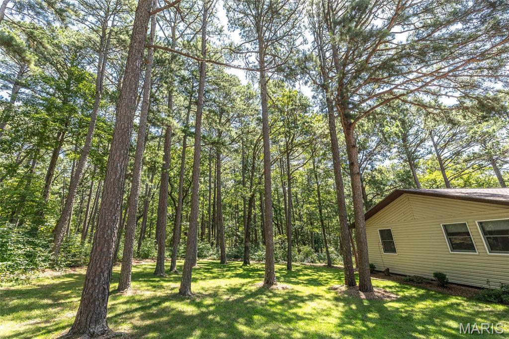 11545 Slaughter Road Licking, MO 65542 - Photo 4 of 53