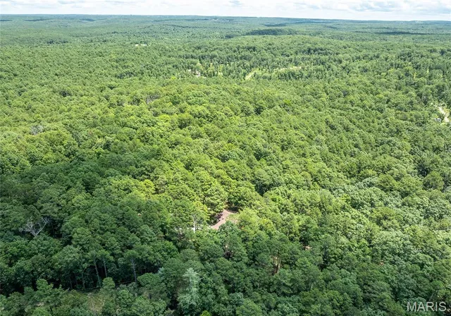 $349,000 | 11545 Slaughter Road, Licking, MO 65542