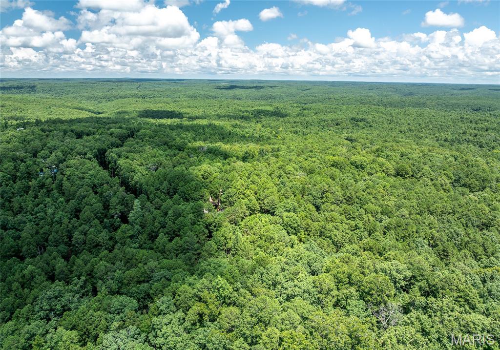 11545 Slaughter Road Licking, MO 65542 - Photo 47 of 53