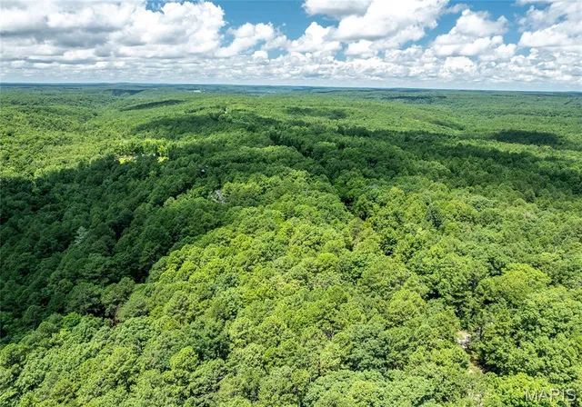 $349,000 | 11545 Slaughter Road, Licking, MO 65542