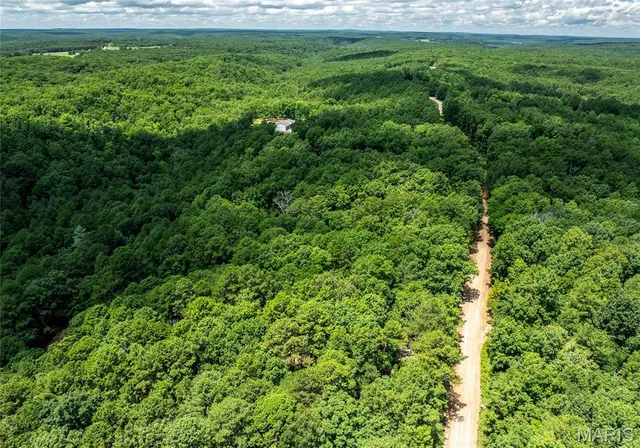 $349,000 | 11545 Slaughter Road, Licking, MO 65542