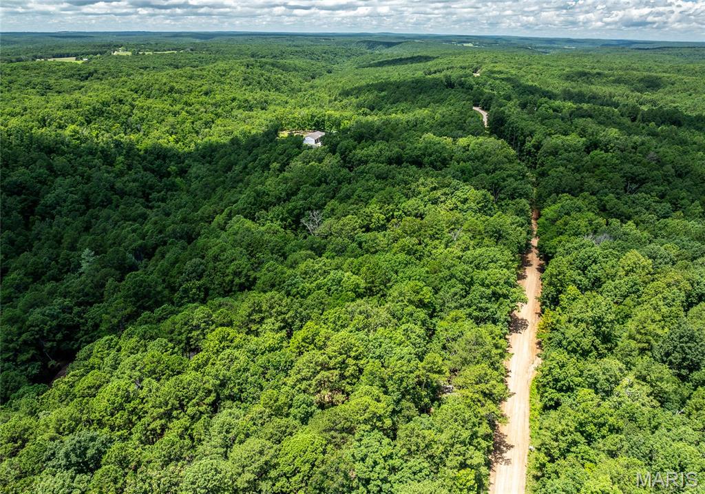 11545 Slaughter Road Licking, MO 65542 - Photo 49 of 53