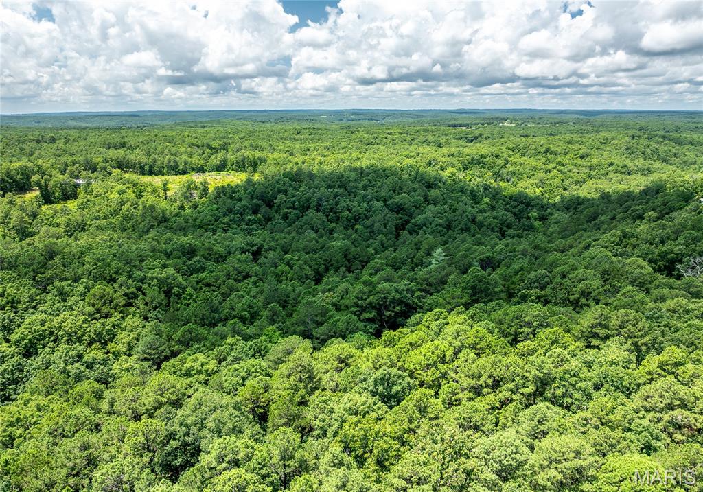 11545 Slaughter Road Licking, MO 65542 - Photo 50 of 53