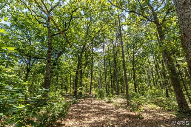 $349,000 | 11545 Slaughter Road, Licking, MO 65542