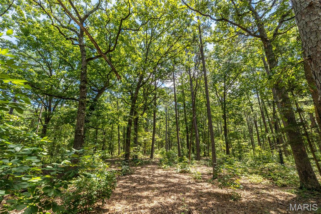 11545 Slaughter Road Licking, MO 65542 - Photo 51 of 53