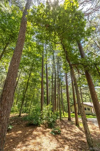 $349,000 | 11545 Slaughter Road, Licking, MO 65542