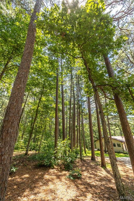 11545 Slaughter Road Licking, MO 65542 - Photo 52 of 53