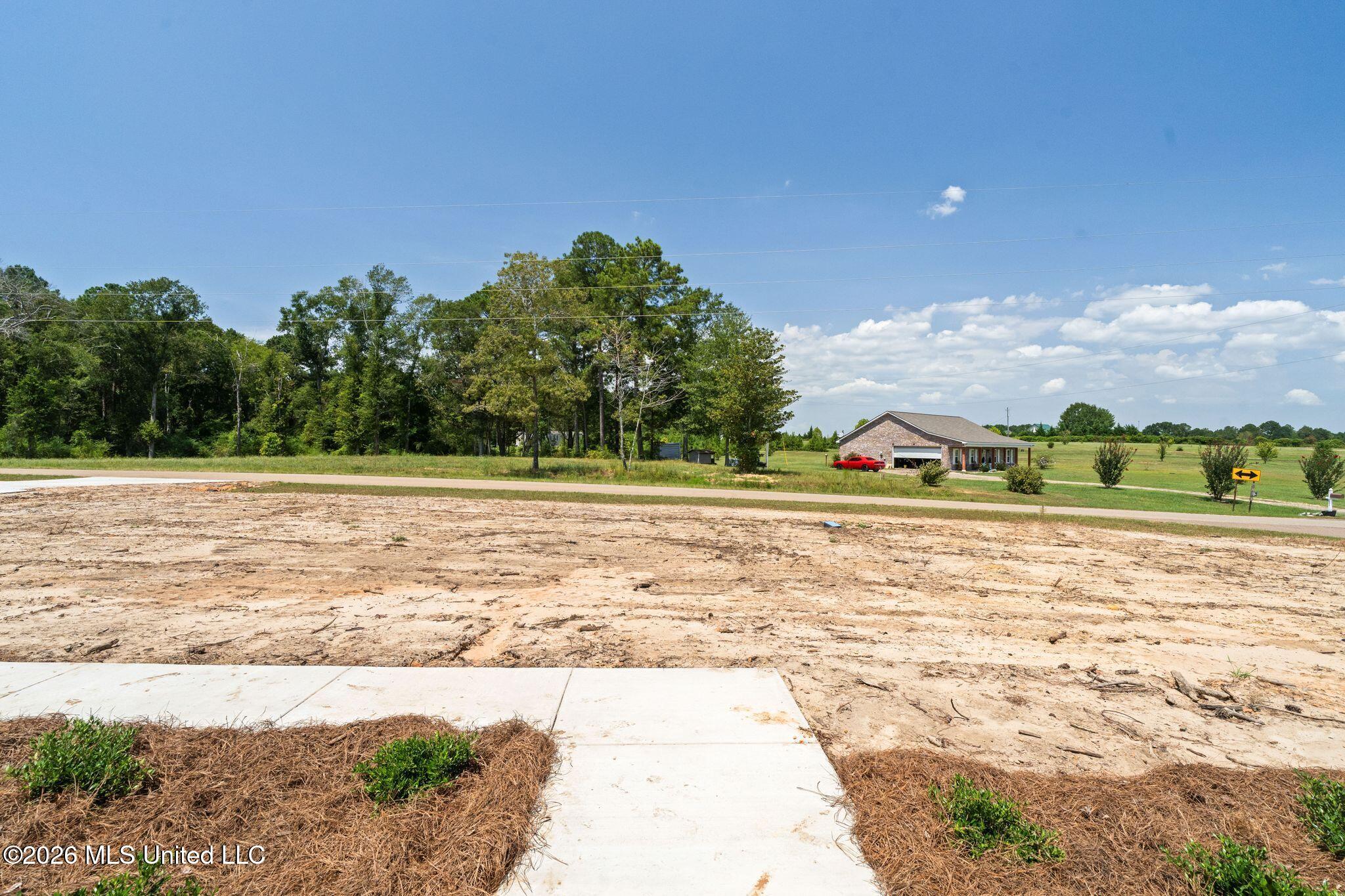 616 Hickory Grove Road Sumrall, MS 39482 - Photo 6 of 41 616_Hickory_Grove_Rd-6