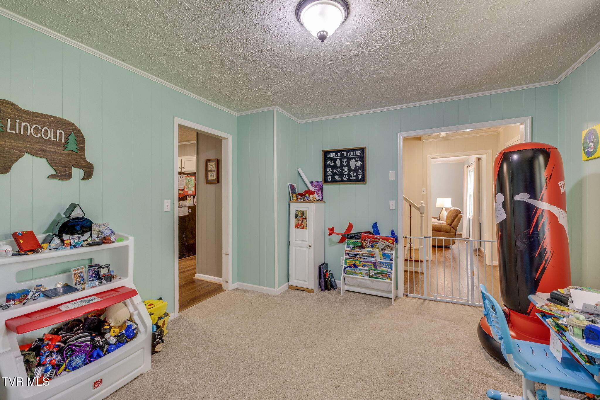2552 Bob Little Road Elizabethton, TN 37643 - Photo 19 of 42 018