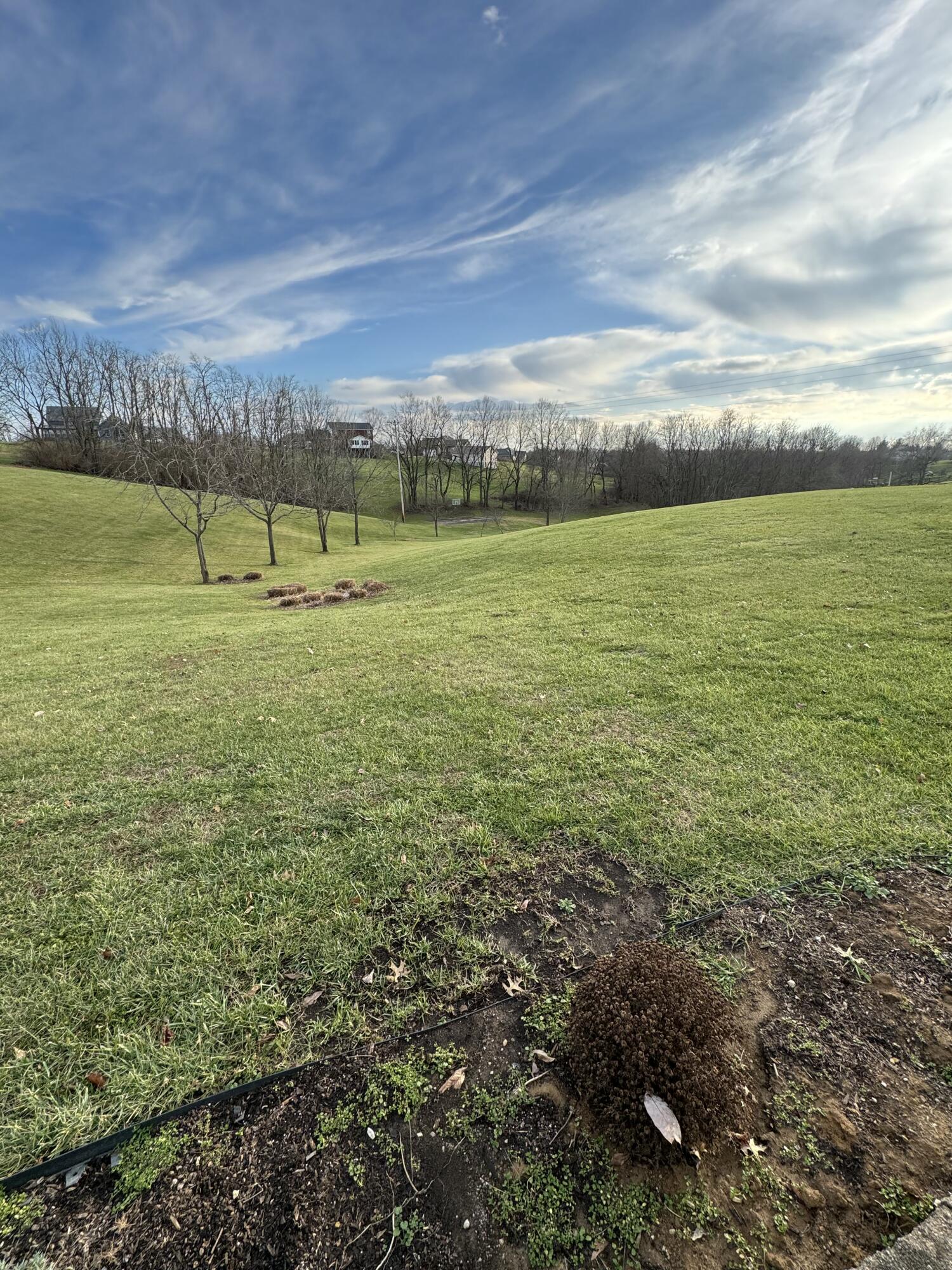 1900 Dry Ridge Mt Zion Road Dry Ridge, KY 41035 - Photo 44 of 48