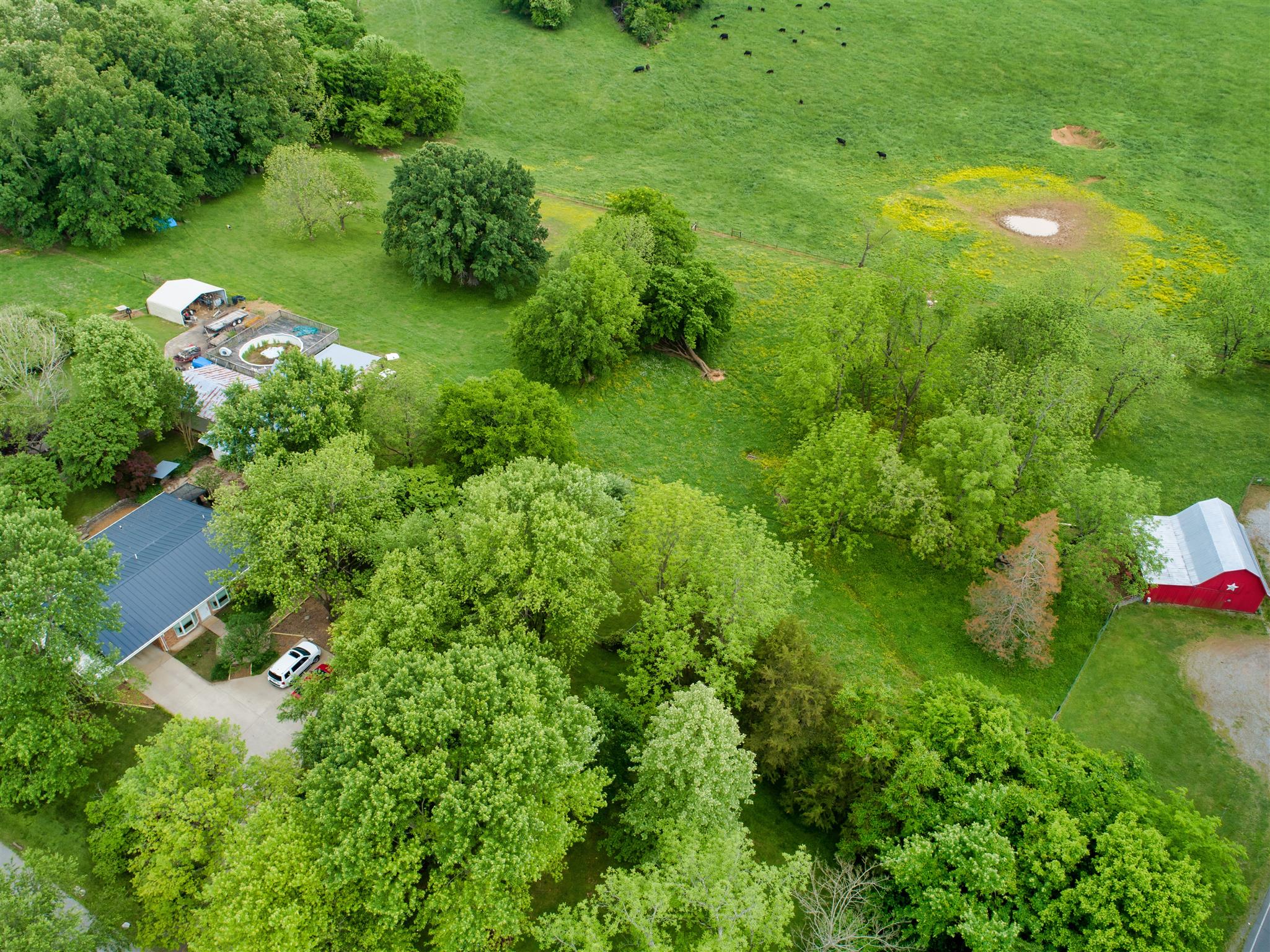 800 Hadley Road Clarksville, TN 37042 - Photo 8 of 17 a view of a garden with plants and large trees