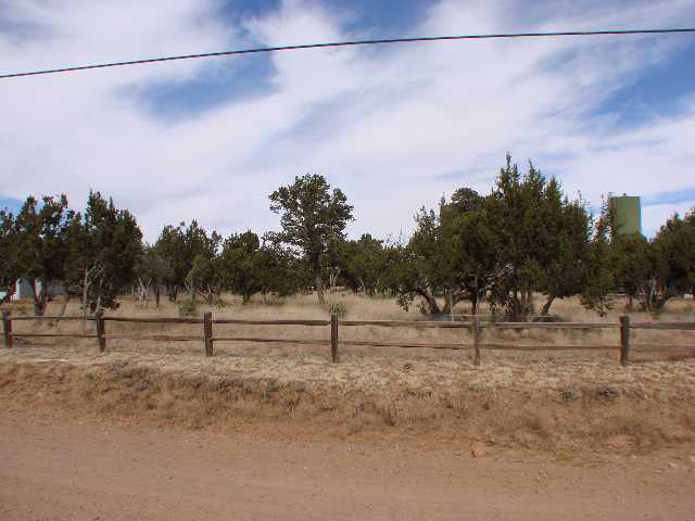 Tbd Shadow Pines Drive Overgaard, AZ 85933 - Photo 1 of 3