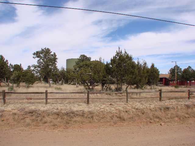 Tbd Shadow Pines Drive Overgaard, AZ 85933 - Photo 2 of 3