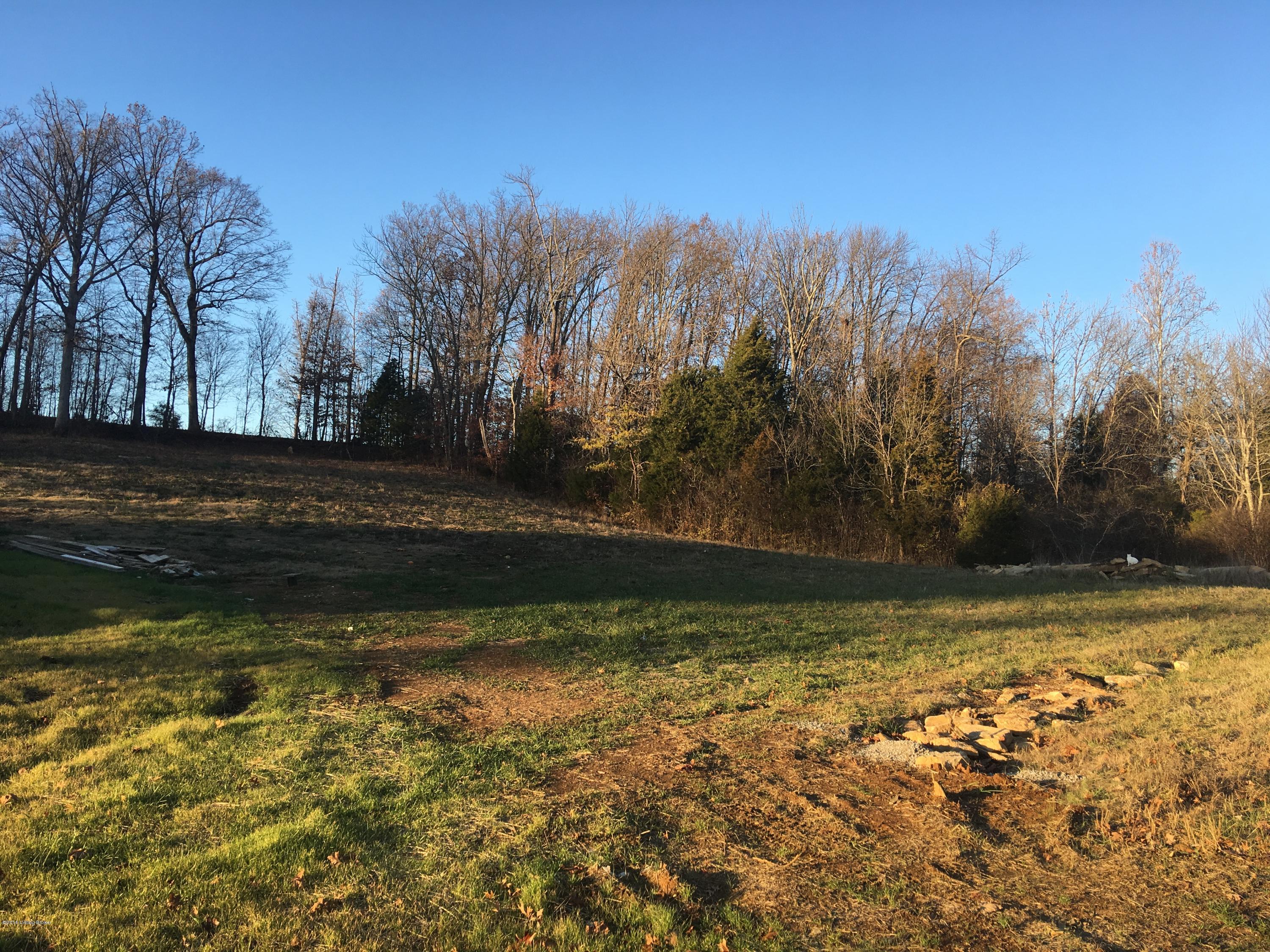 Lot #3 Greenbriar Road Mount Washington, KY 40047 - Photo 1 of 2 IMG_2156