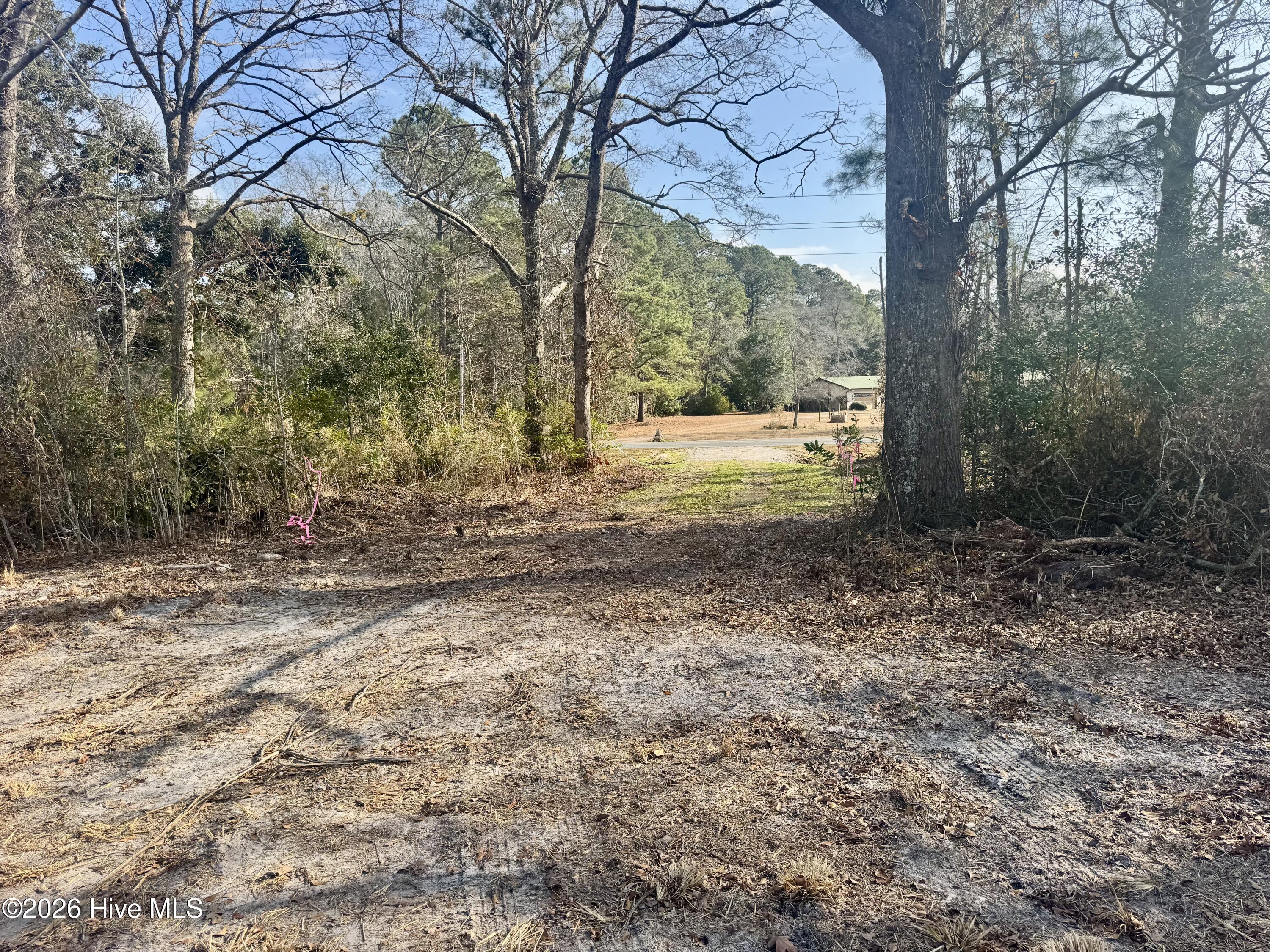4635 Hallsboro Road North Clarkton, NC 28433 - Photo 12 of 12 CPS 12