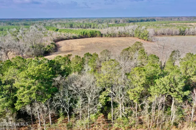 $125,000 | 4635 Hallsboro Road North, Clarkton, NC 28433