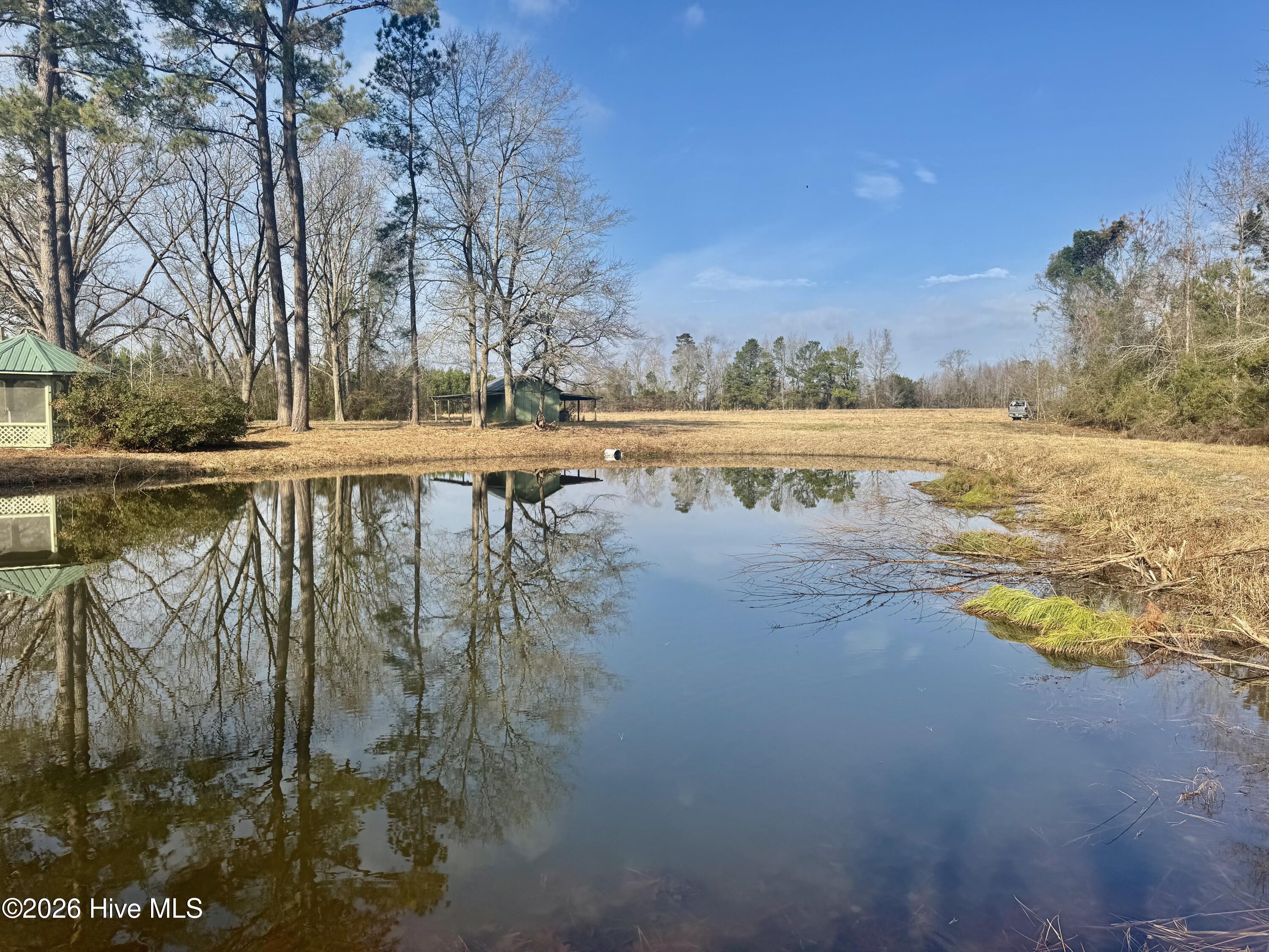 4635 Hallsboro Road North Clarkton, NC 28433 - Photo 4 of 12 CPS 4