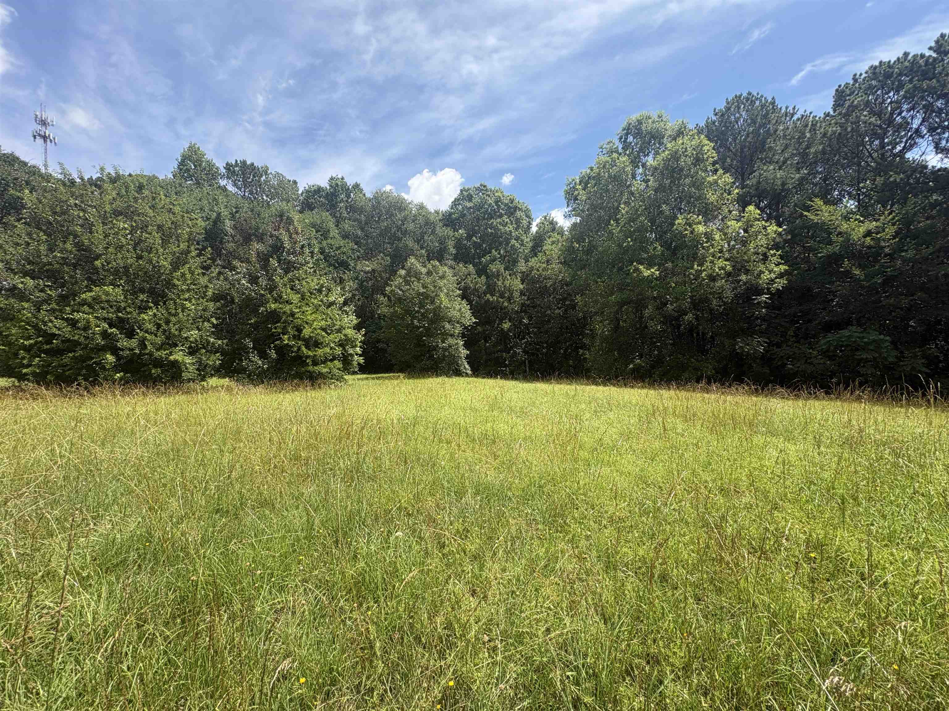532 Filter Plant Road Gaffney, SC 29340 - Photo 14 of 17