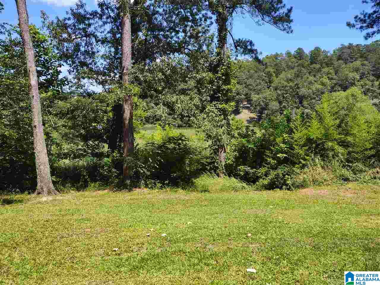 115 Satterfield Road Adger, AL 35006 - Photo 16 of 25