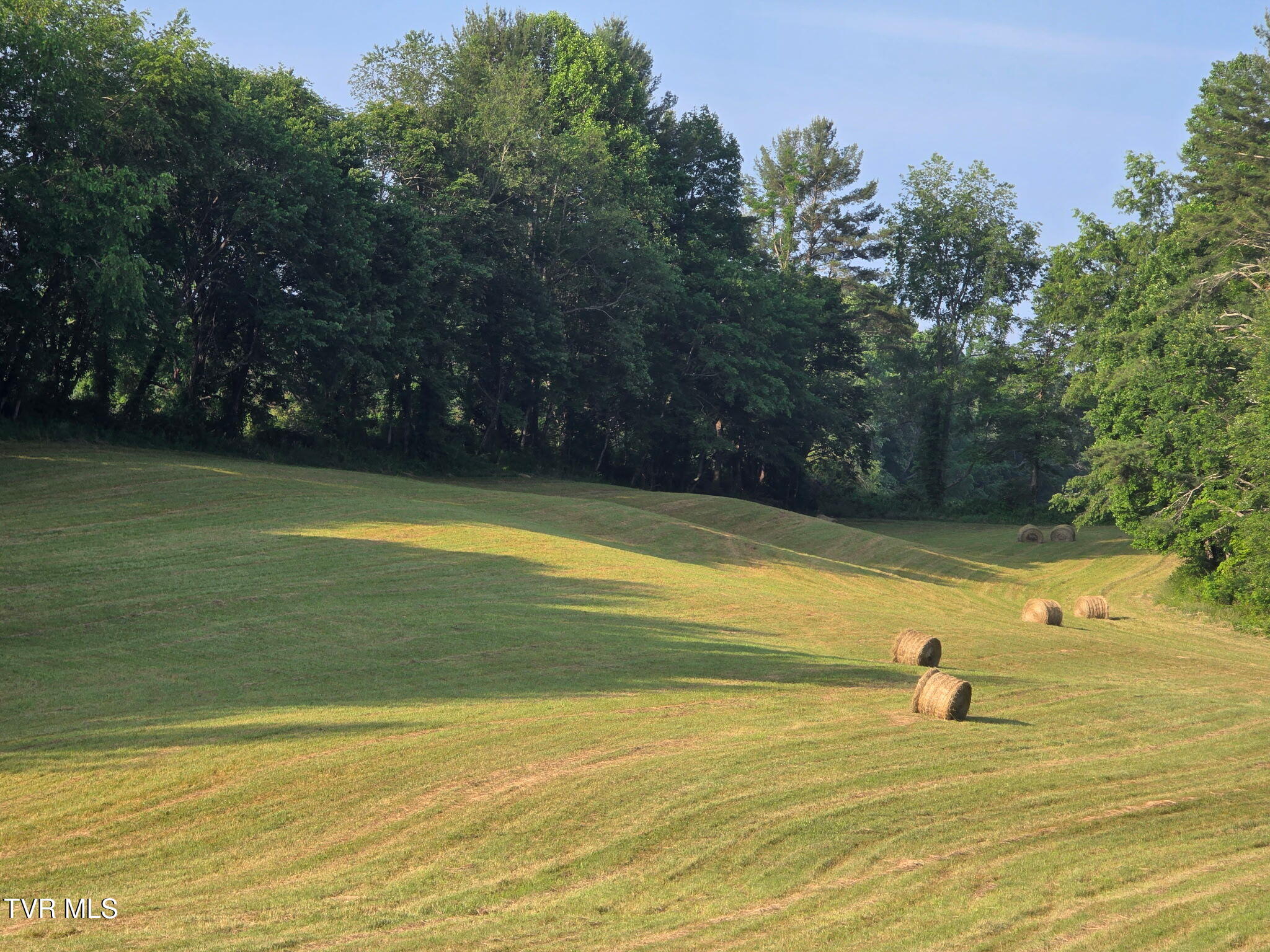 Tbd A Davis Lane Mountain City, TN 37683 - Photo 2 of 12 A davis 1