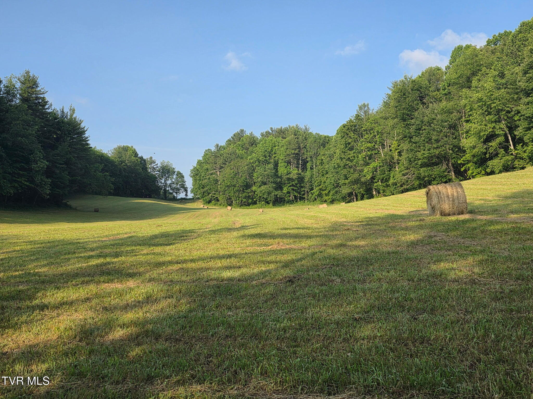 Tbd A Davis Lane Mountain City, TN 37683 - Photo 7 of 12 a davis 7