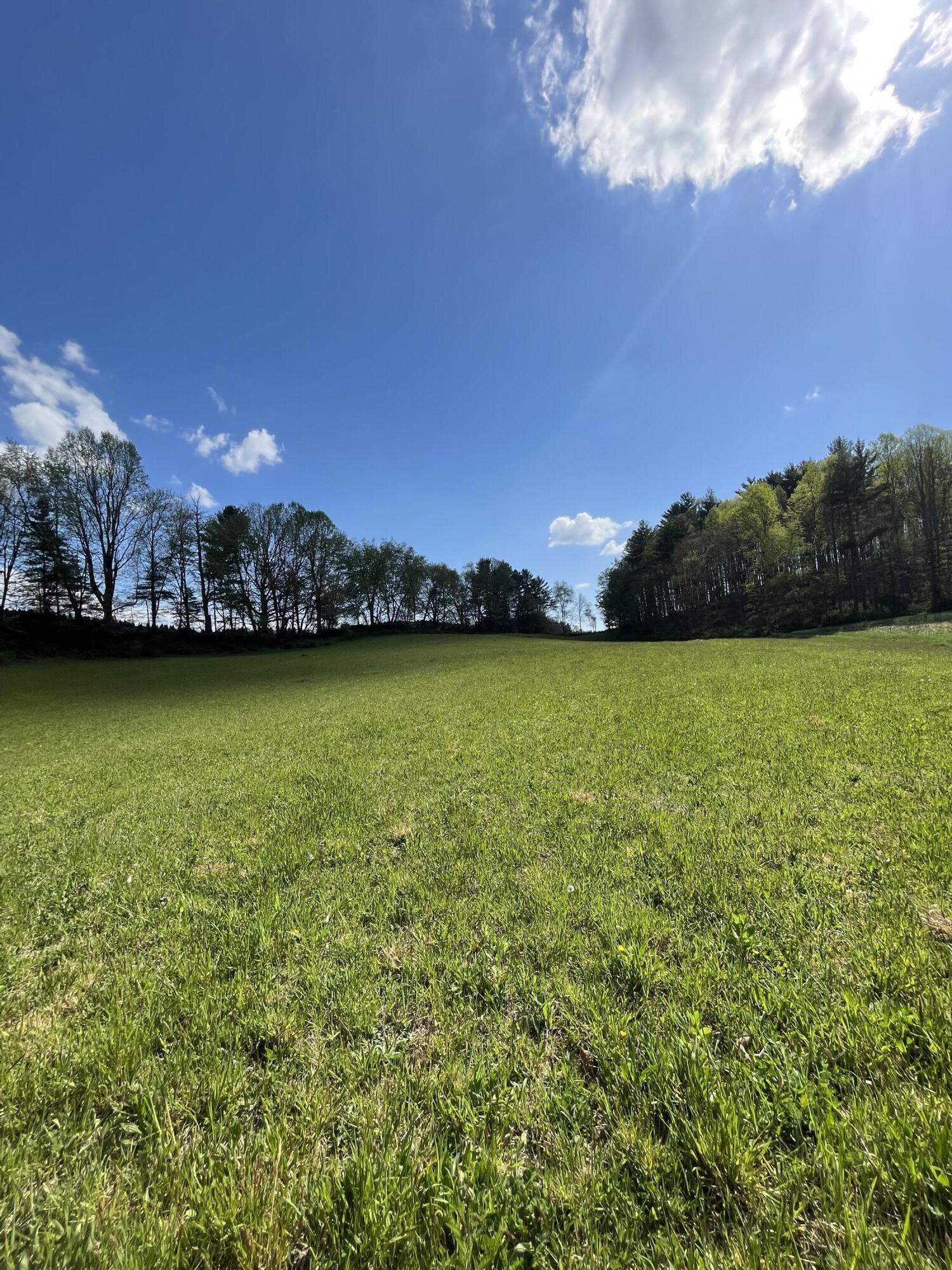 Tbd A Davis Lane Mountain City, TN 37683 - Photo 8 of 12 TBD A Davis Lane 3