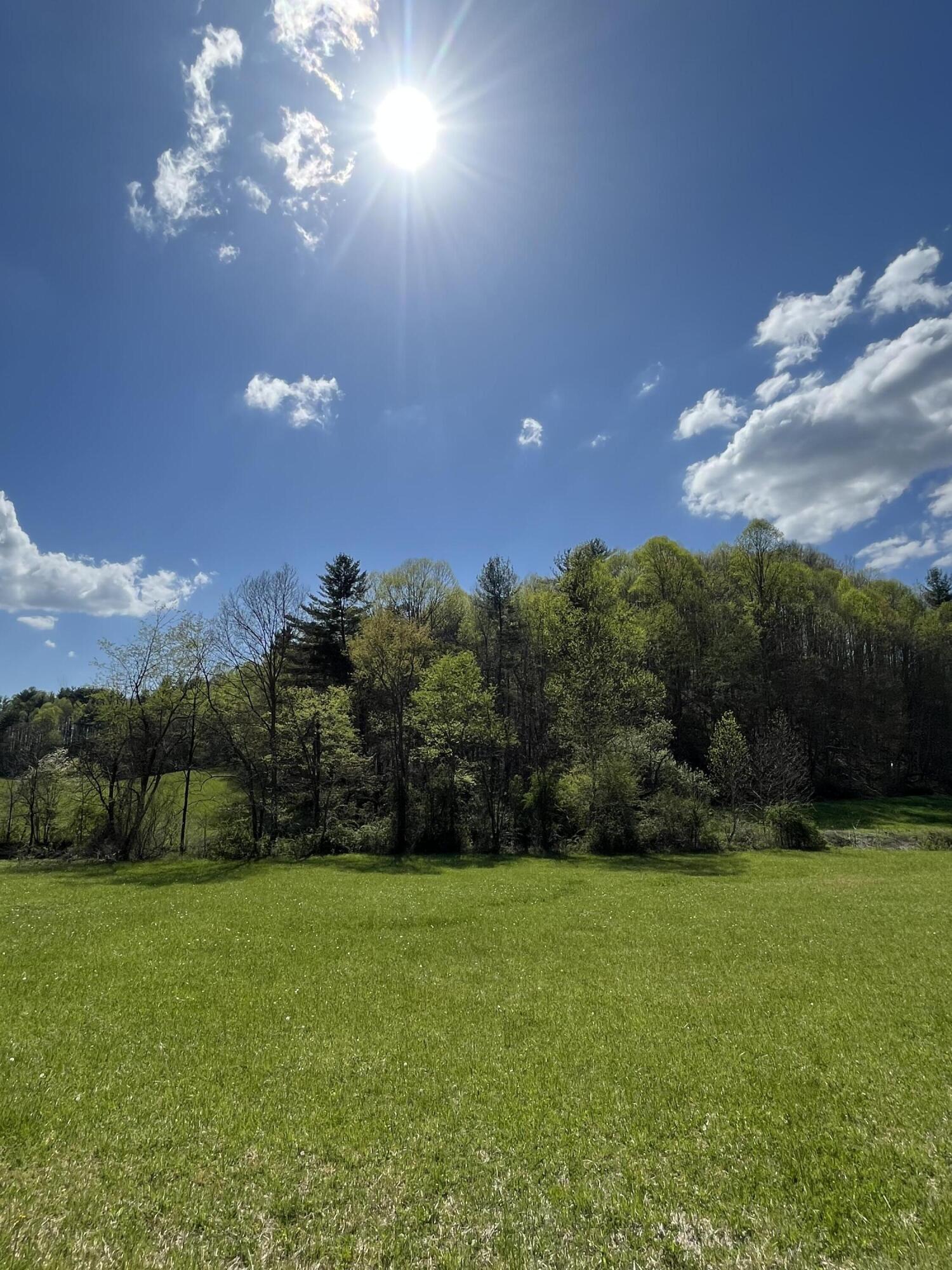 Tbd A Davis Lane Mountain City, TN 37683 - Photo 9 of 12 TBD A Davis Lane 1