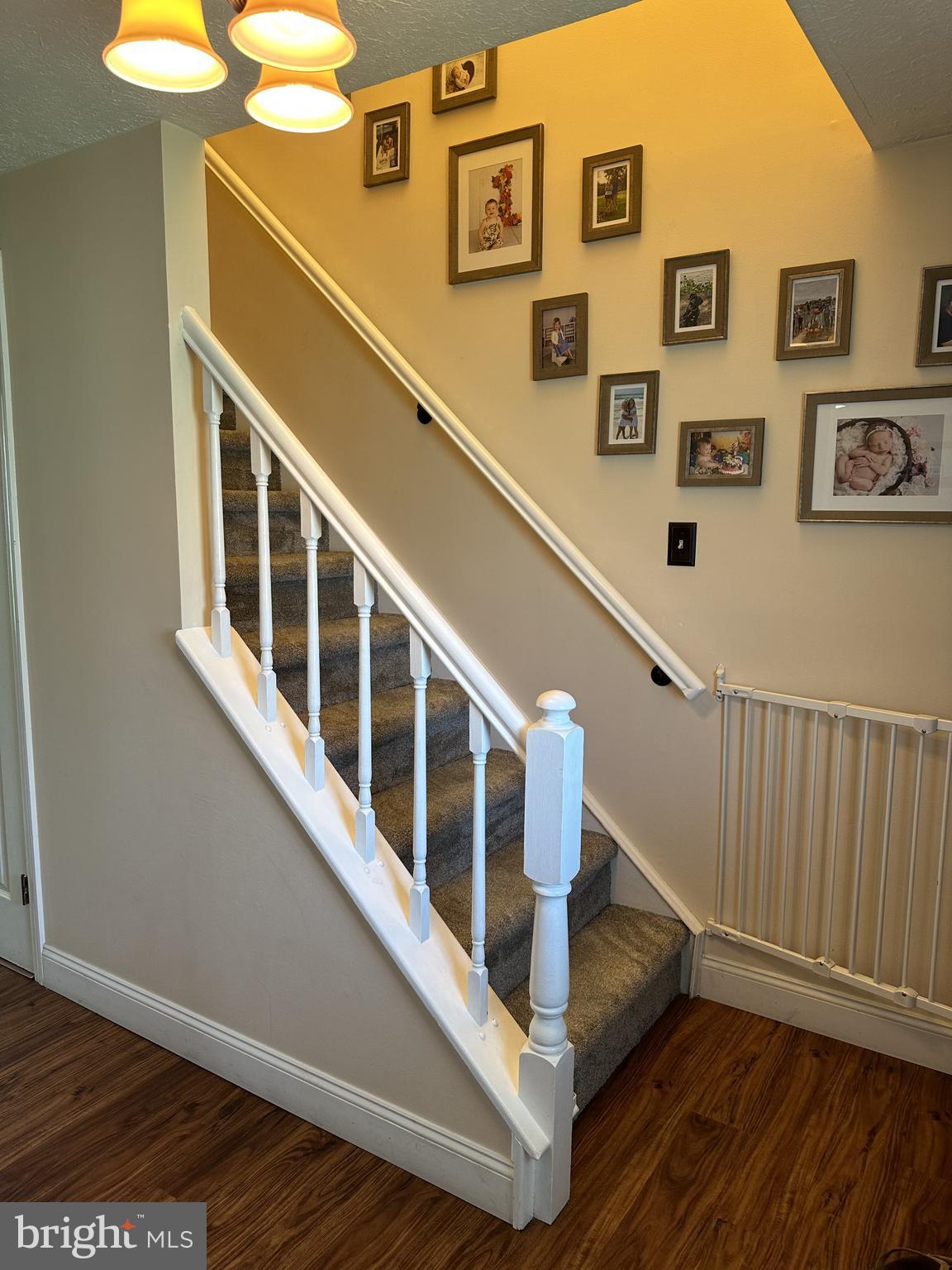 212 Country Farms Road Marlton, NJ 08053 - Photo 28 of 68