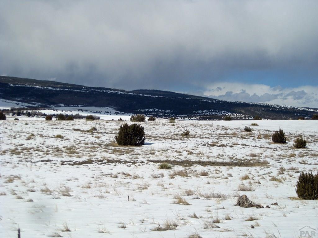 Lot 62 Garrett Road Beulah, CO 81023 - Photo 7 of 8
