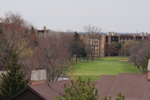 1621 Mission Hills Road, Unit 503 Northbrook, IL 60062 - Photo 10 of 10 a view of a big yard with large trees