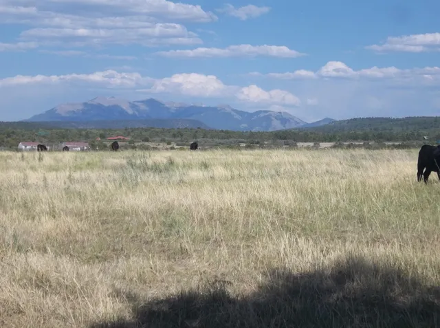 a view of lake with mountain and trees