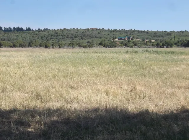 a view of lake from a yard