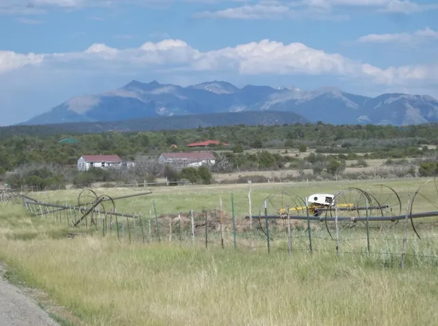 a view of a dry yard
