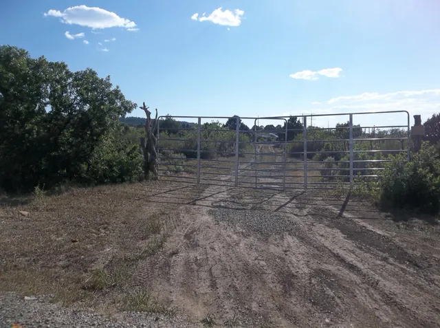 a view of a dry yard