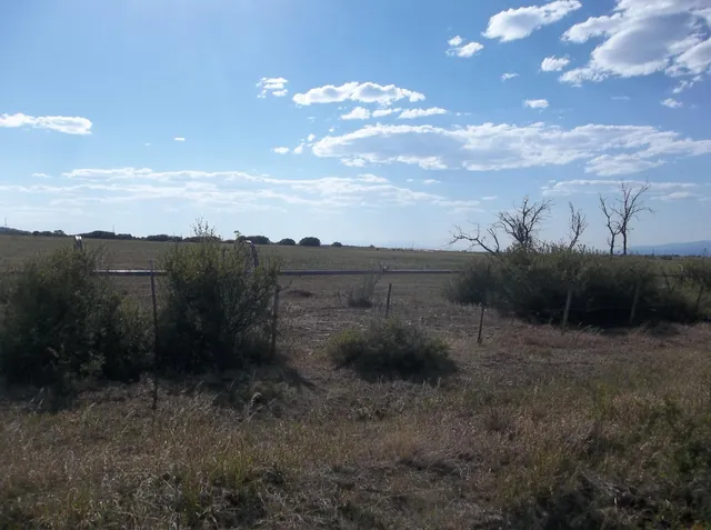 a view of a dry yard with a barn