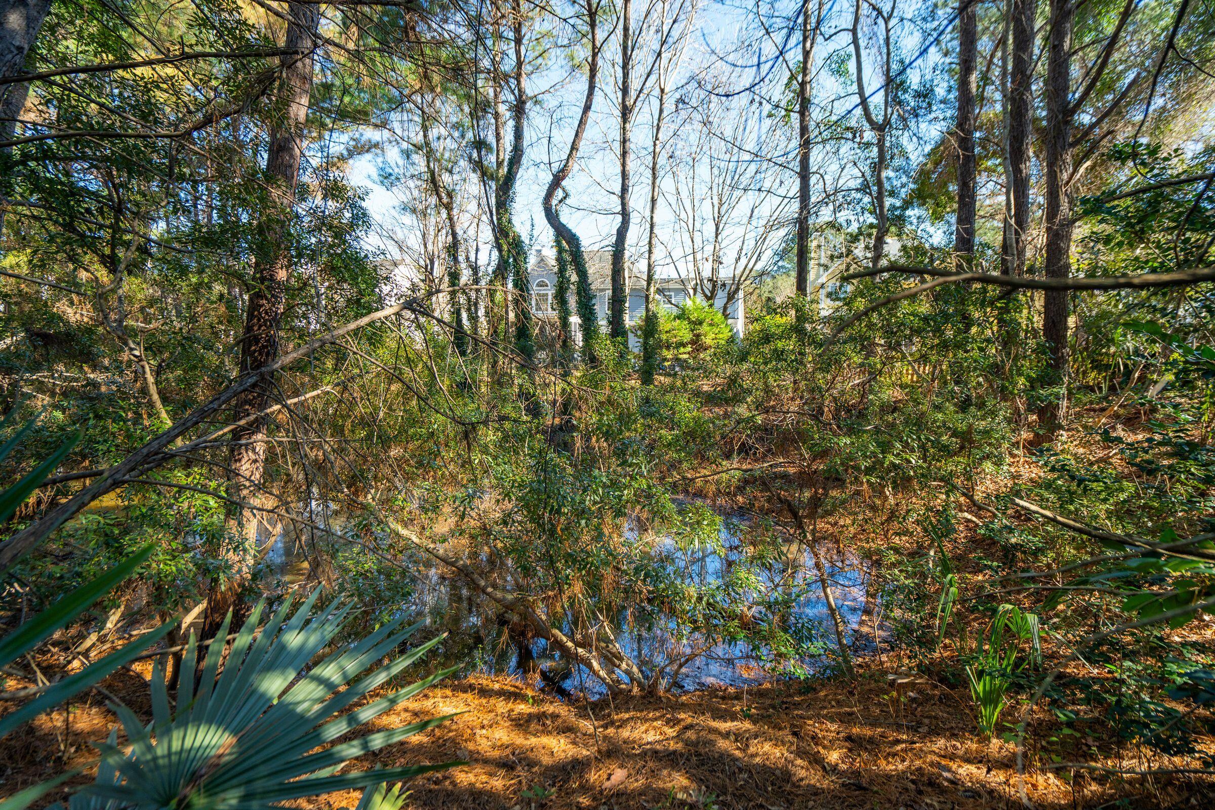 1336 Wynbrook Trace Mount Pleasant, SC 29466 - Photo 49 of 80 1336 Wynbrook Trace-KeenEye062