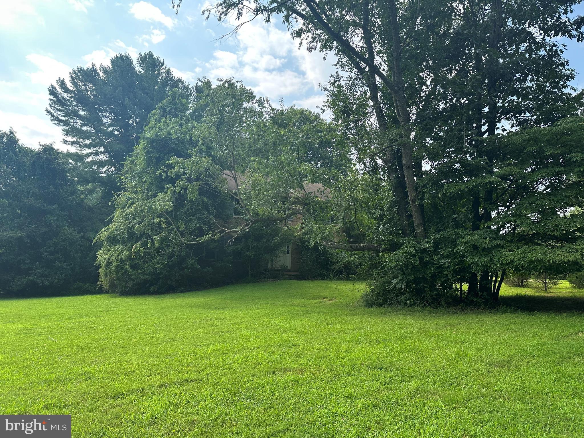 332 River Bend Road Great Falls, VA 22066 - Photo 1 of 1 a view of a yard with a tree