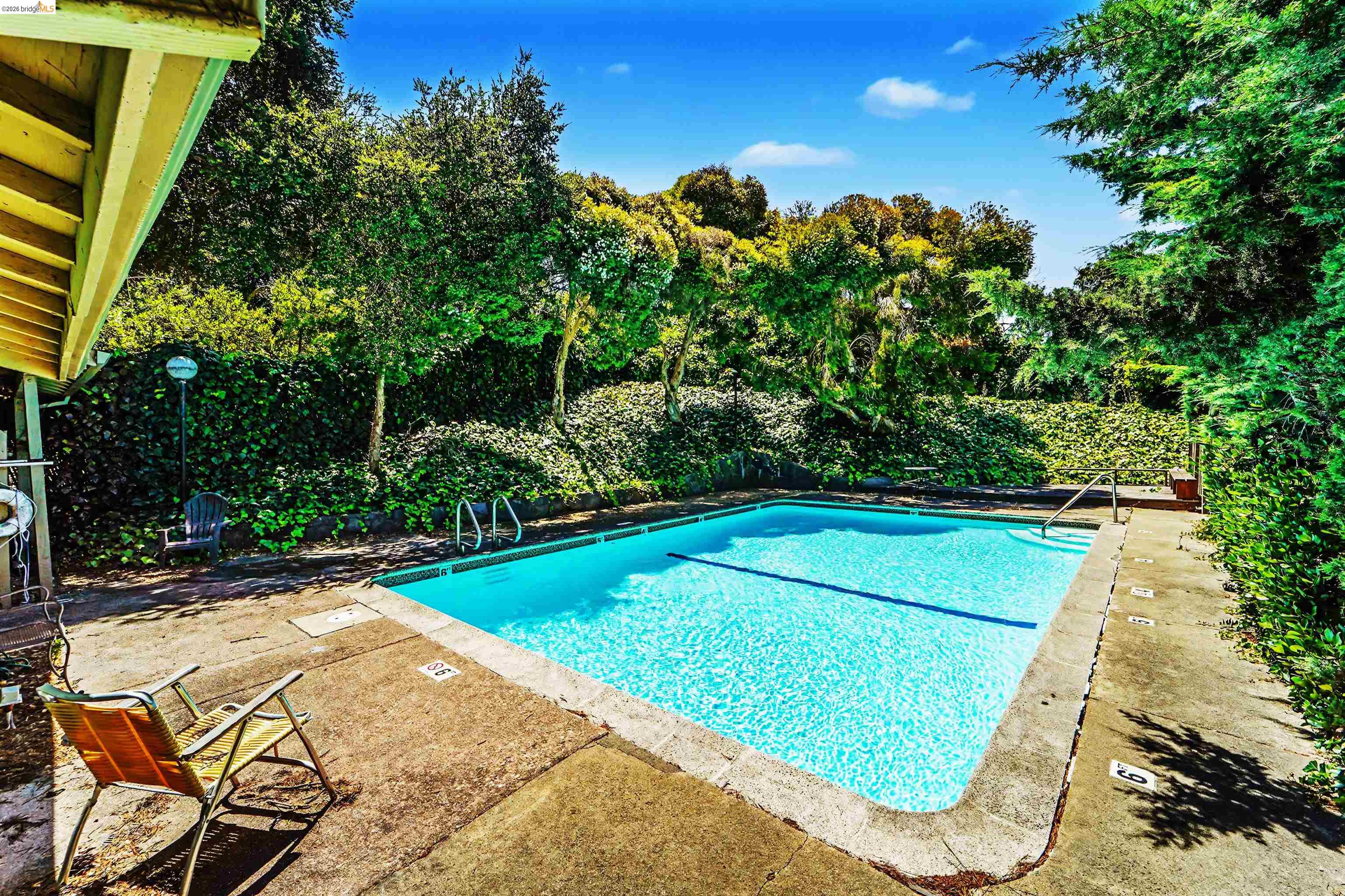 4186 San Pablo Dam Road, Unit A El Sobrante, CA 94803 - Photo 30 of 34 Rectangular swimming pool featuring a concrete surround and lush perimeter landscaping