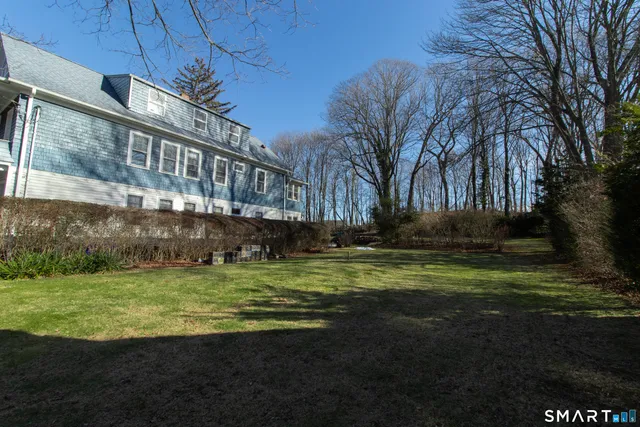 a view of a park with a tree