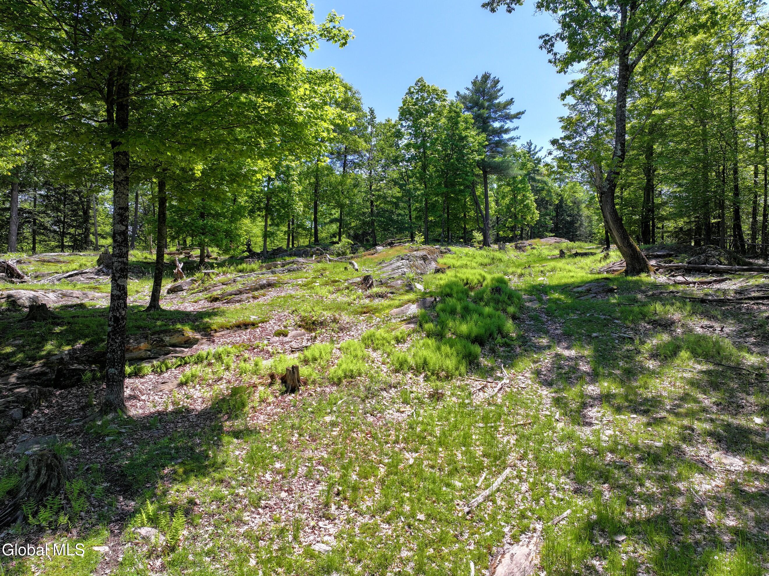 1710 Truthville Road Whitehall, NY 12887 - Photo 49 of 59 DJI_20260526125657_0133_D-2 (Copy)