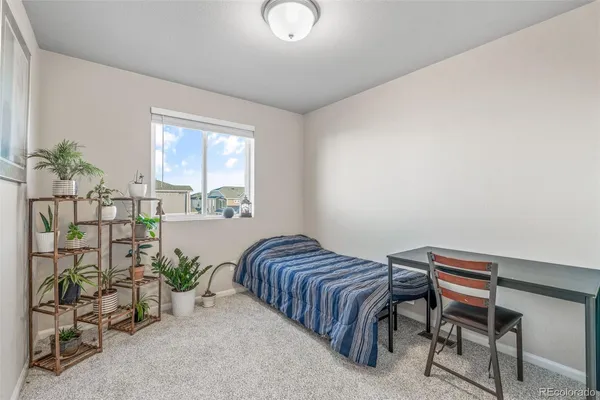 a bathroom with a shower and toilet